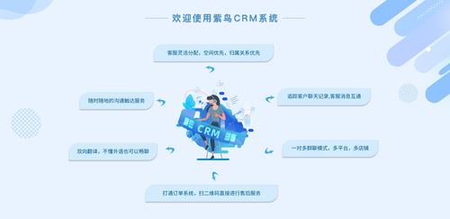 電商行業(yè)CRM云客服管理系統(tǒng)選哪家？紫鳥云客服——互聯(lián)網(wǎng)信息技術服務的卓越選擇